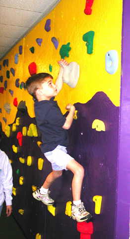 Jacobs Climbing Wall Model 4002