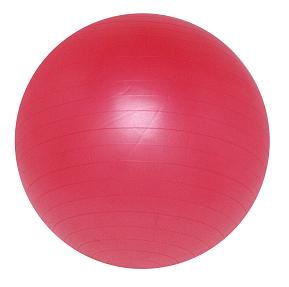 Stamina 75cm Premium Exercise Ball