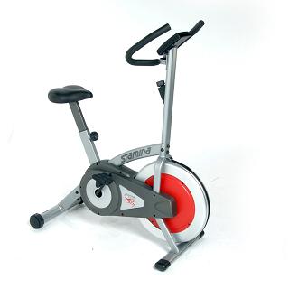 Stamina Upright Flywheel Bike
