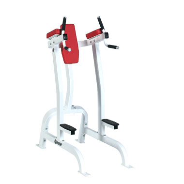 Hoist  Vertical Knee Raise /Dip CF2252