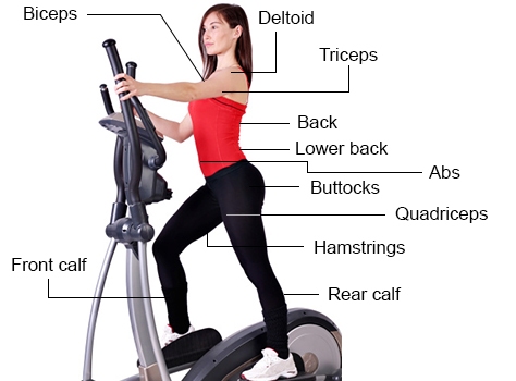 How To Lose The Most Weight Using An Elliptical