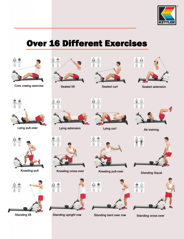 Rower Workout Programs