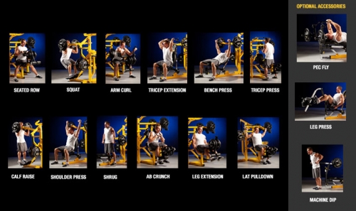 Powertec Workbench Multi SystemBlack eBay