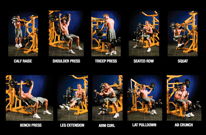 Powertec Workbench Multi System WBMS15 Yellow with