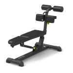 Spirit Adjustable Ab Bench