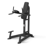 Spirit Vertical Leg Raise/Dip