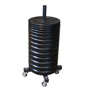Body Solid GWT86 Mobile Bumper Plate Tree