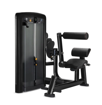 Life Fitness Insignia Series Back Extension