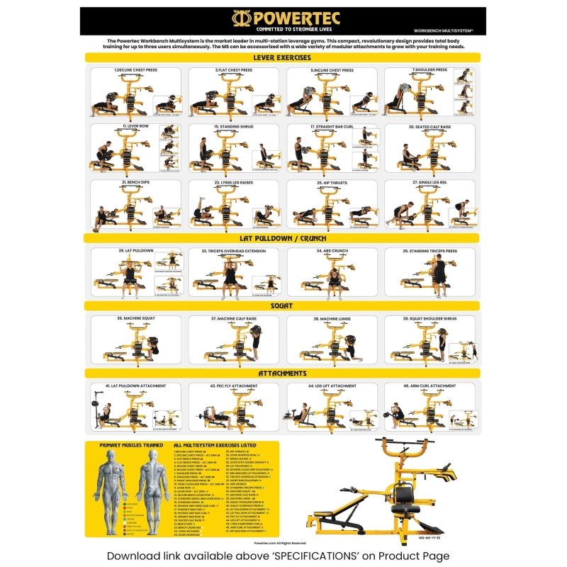 Powertec Workbench Multi System WB-MS-BB Exercise Chart