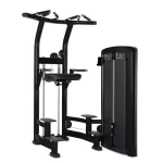 Life Fitness Insignia Series Assist Dip Chin