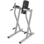 Life Fitness Leg Raise/Dip
