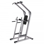 Life Fitness Leg Raise/Dip/Chin