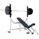 Life Fitness Olympic Incline Bench