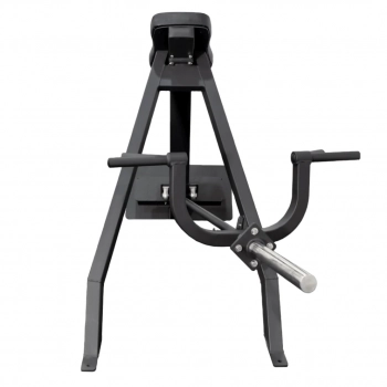 Bolt Fitness Grunt 45 Degree T-Row