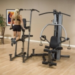Body-Solid Weight Assisted Chin Dip Attachment
