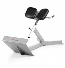 Fitnesszone Freemotion Epic 45 Degree Back Extension Ef206