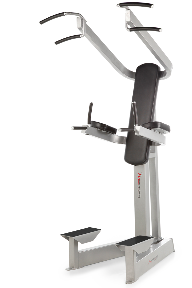 Freemotion Epic Chin / Dip Assist