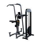Body-Solid Pro-Select Weight Assist VKR, DIP, & Chin Station FCD-STK