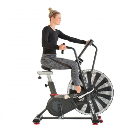 schwinn ad7