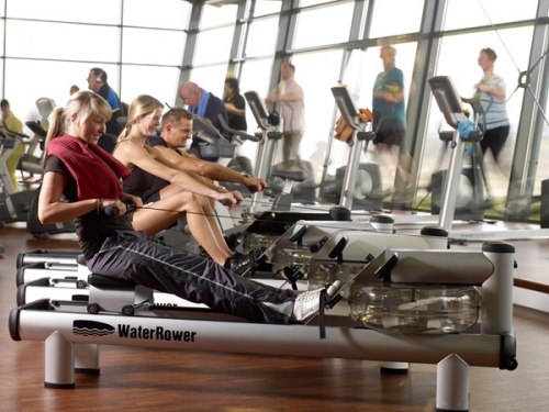  WaterRower M1 LoRise Rower