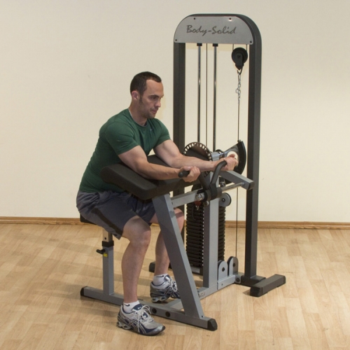 Body-Solid Pro-Select Biceps & Triceps GCBT-STK
