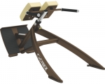 Cybex 45 Degree Back Extension