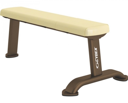 Cybex Flat Bench