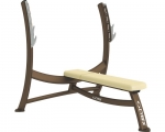 Cybex Olympic Bench Press