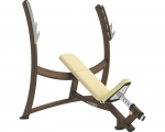 Cybex Olympic Incline Press