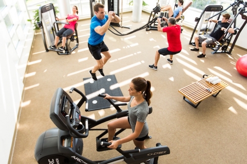Cybex FT-325 Bravo Basic Functional Trainer