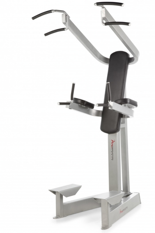 FreeMotion EPIC Dip-Chin-Ab F207
