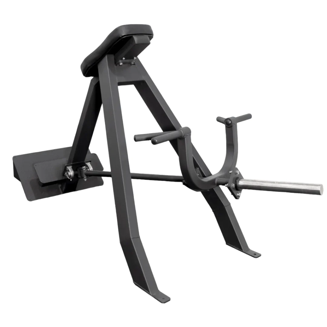 Bolt Fitness Grunt 45 Degree T-Row