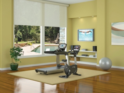 Life Fitness Platinum Upright with Achieve LED Console