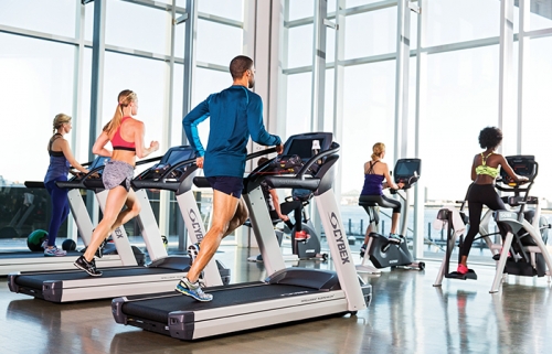 Cybex 790T Treadmill